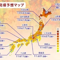画像255