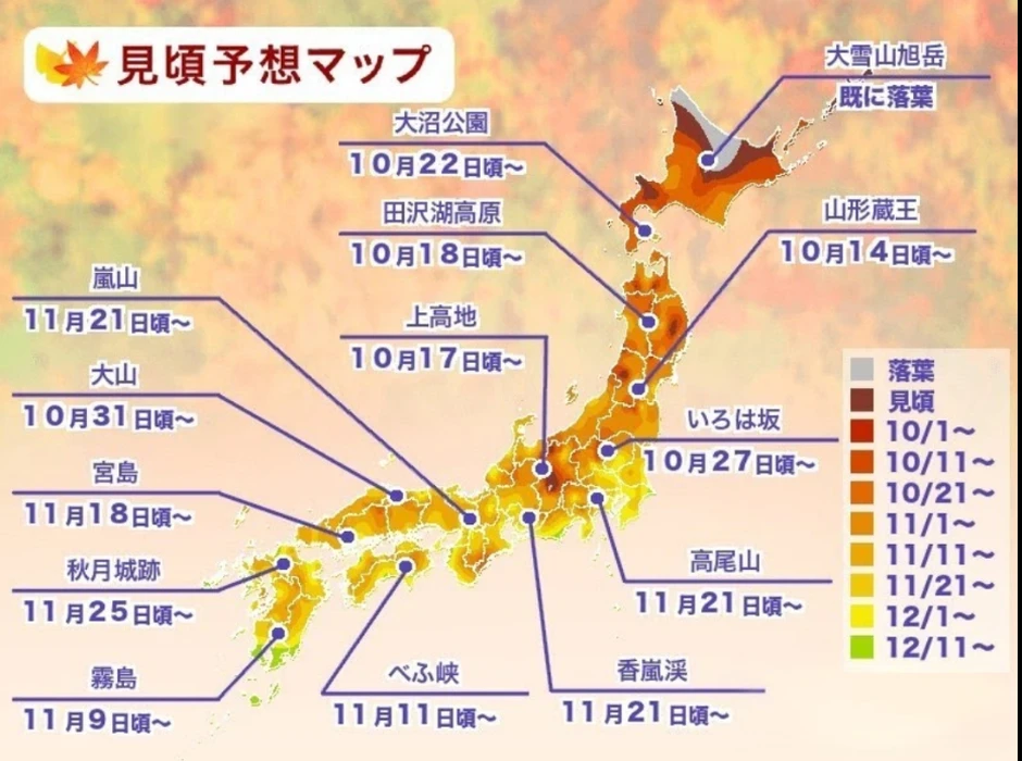 画像255