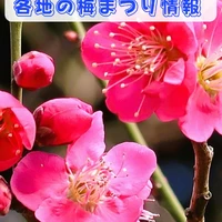画像330