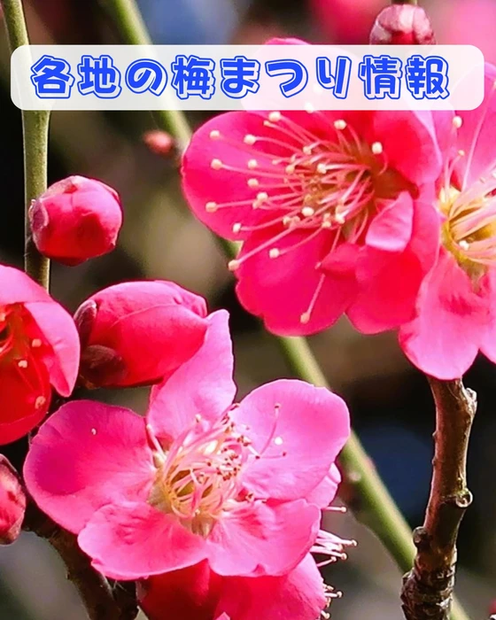 画像330