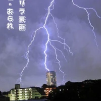 画像354