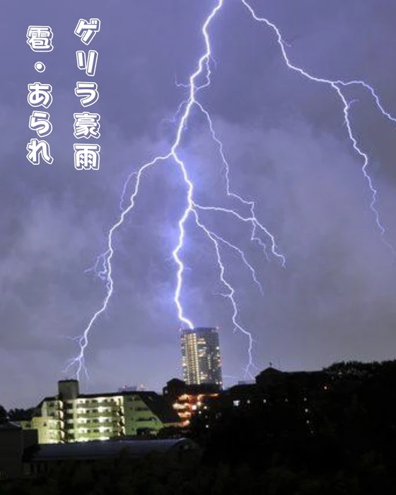 画像354